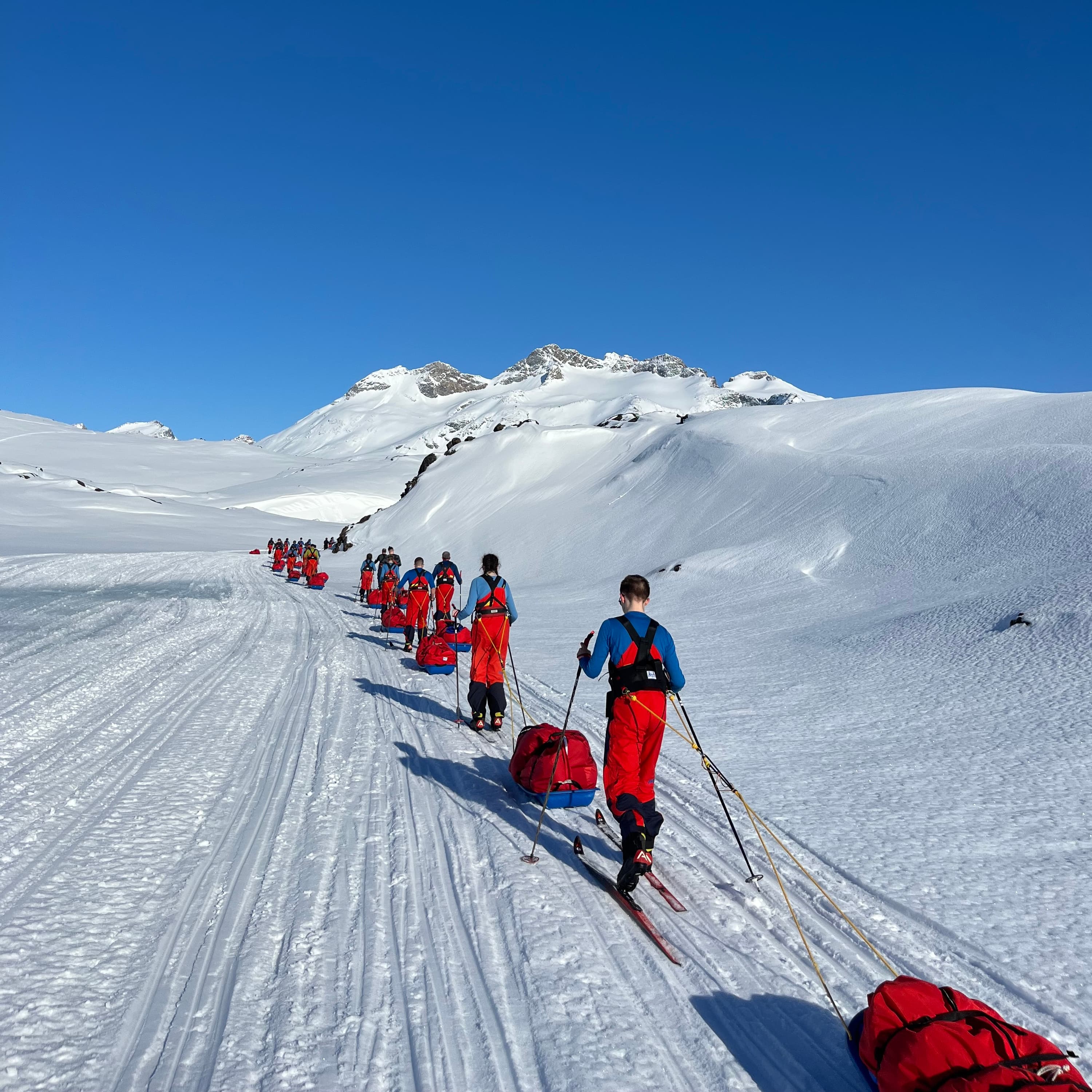 A line of sledges in Greenland